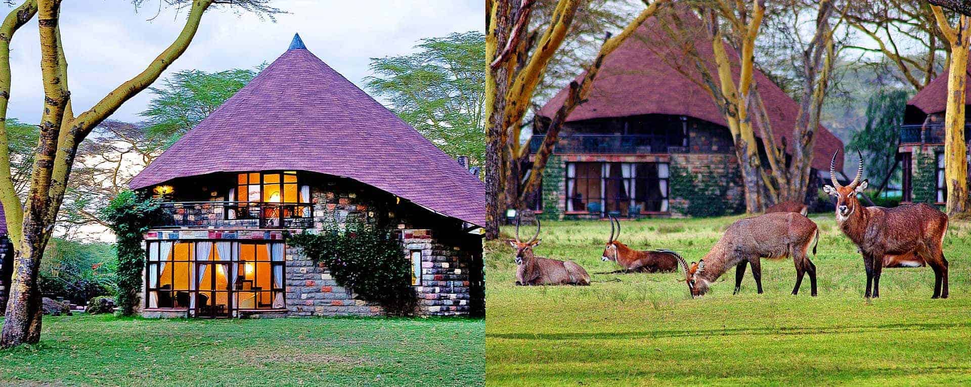 Lake Naivasha Sopa Lodge